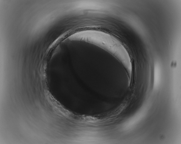 X0000114190387200911200941