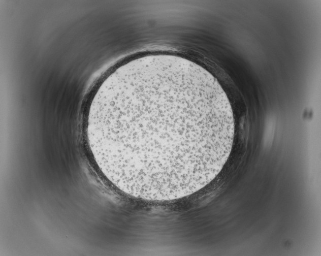 X0000114190388200911200941