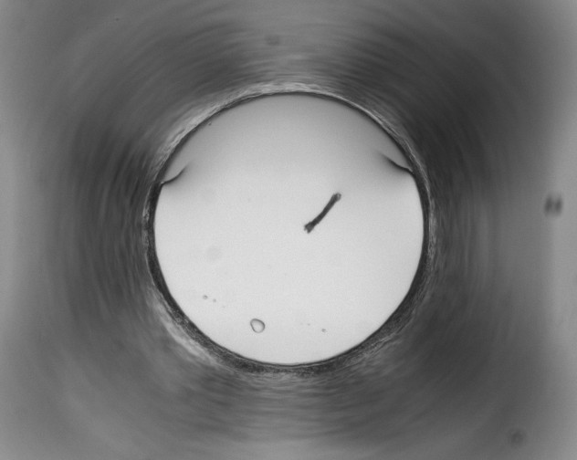 X0000114190389200911200941