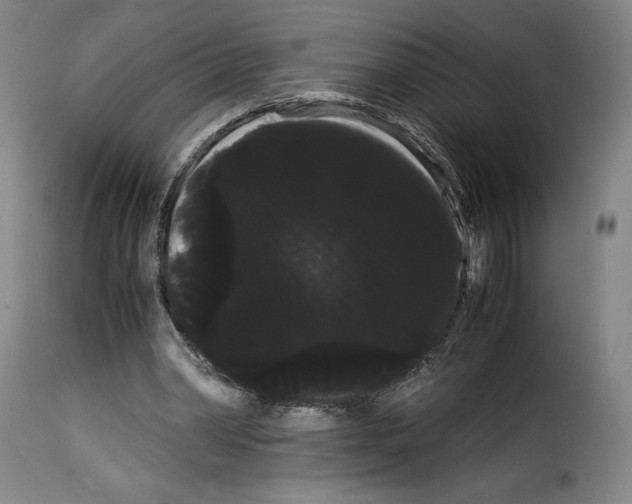 X0000114190390200911200941