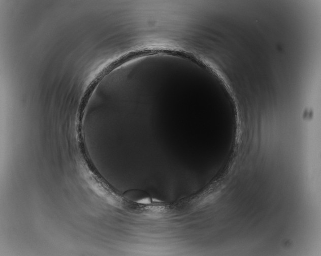 X0000114190391200911200941