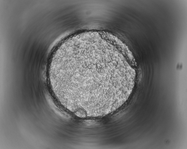 X0000114190392200911200941