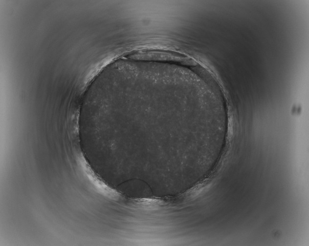 X0000114190393200911200941