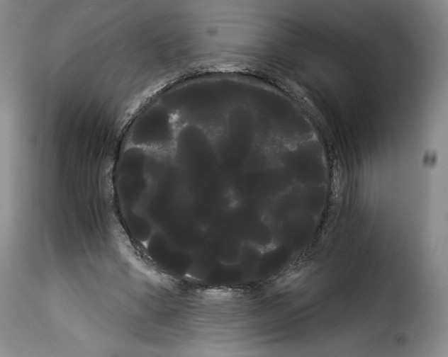 X0000114190394200911200941