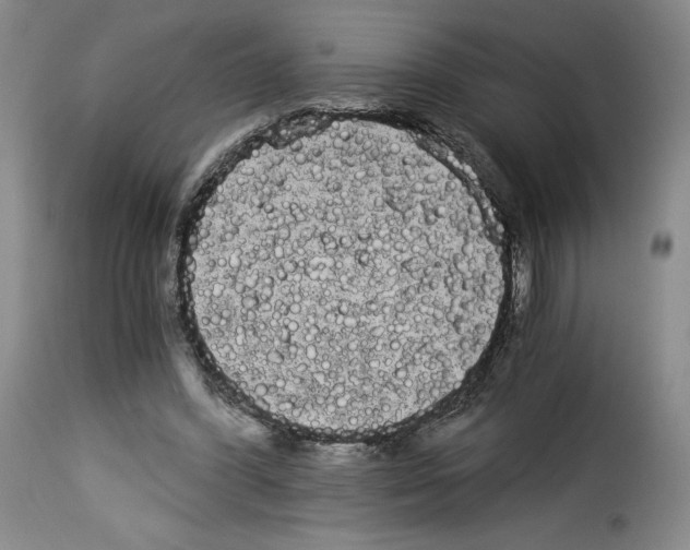 X0000114190396200911200941