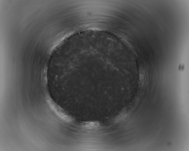 X0000114190398200911200941