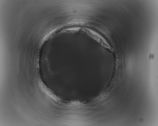 X0000114190399200911200941