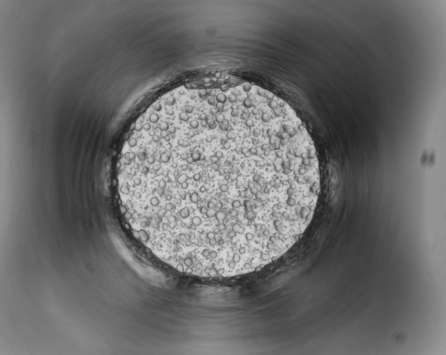 X0000114190400200911200941