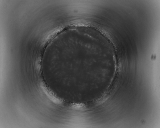 X0000114190402200911200941