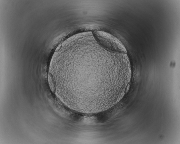 X0000114190403200911200941