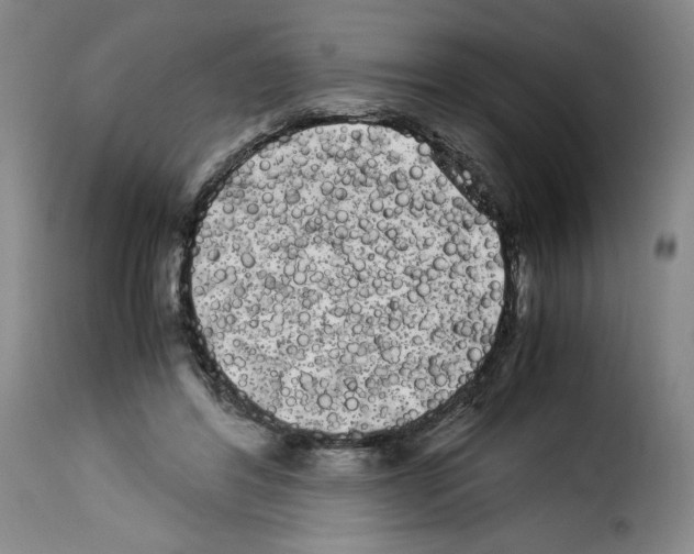 X0000114190404200911200941