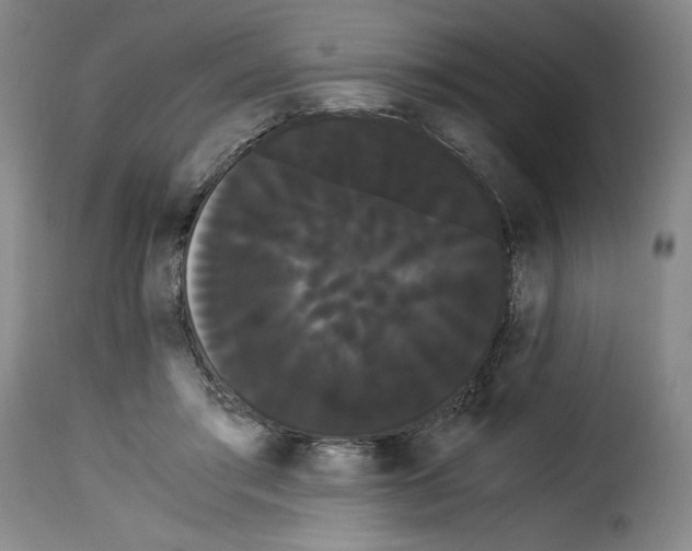 X0000114190405200911200941