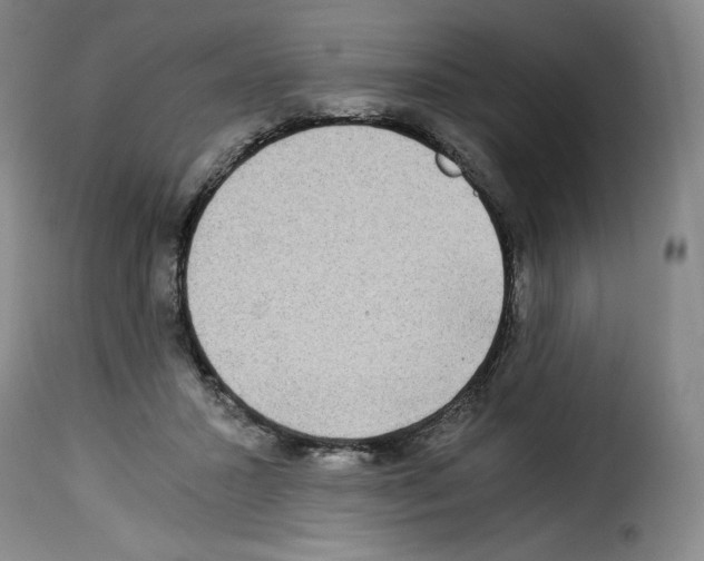 X0000114190407200911200941