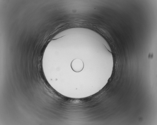 X0000114190409200911200941