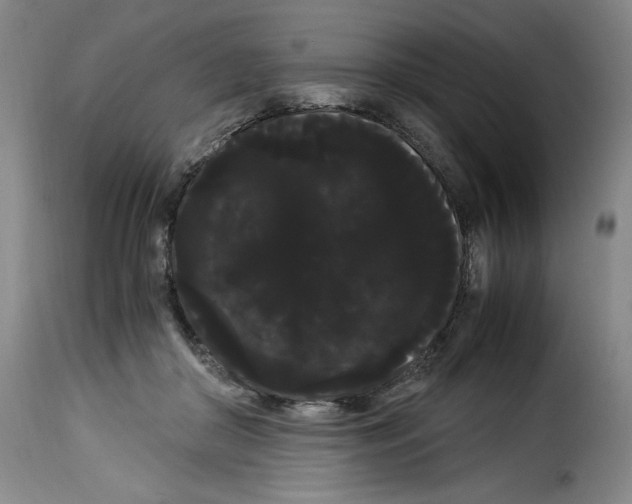X0000114190410200911200941