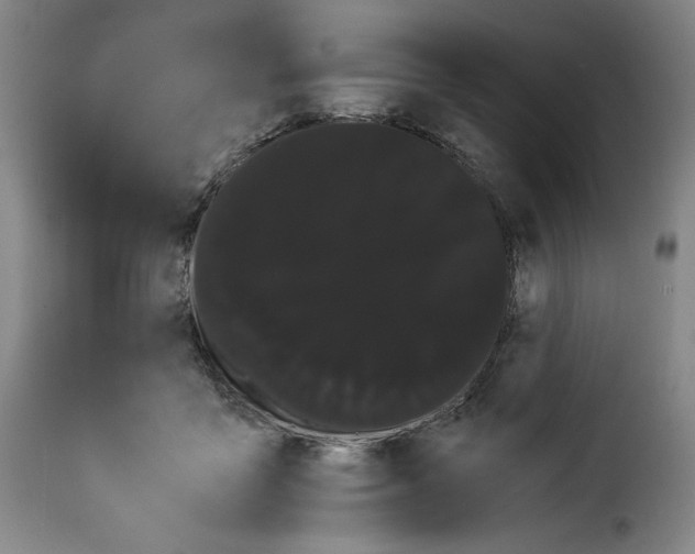 X0000114190411200911200941