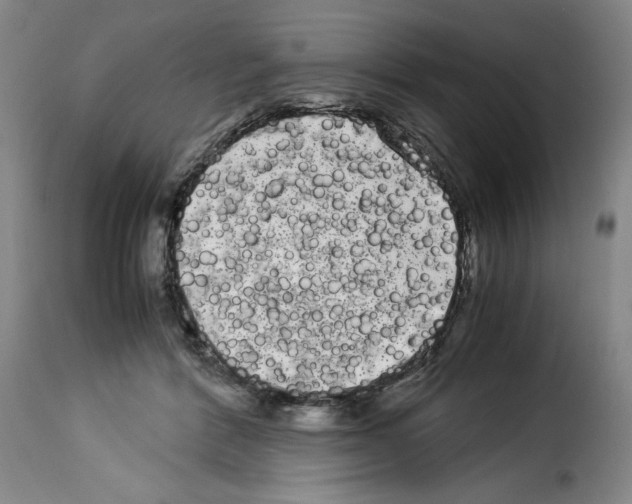 X0000114190412200911200941
