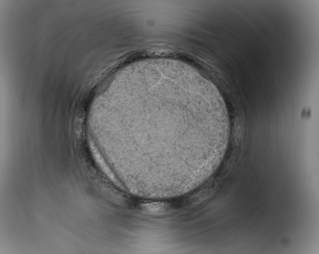 X0000114190417200911200941