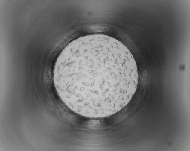 X0000114190418200911200941