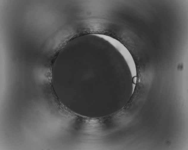 X0000114190419200911200941