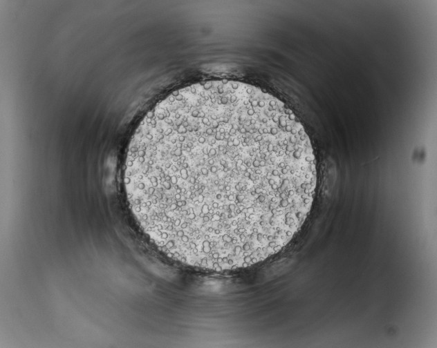 X0000114190420200911200941