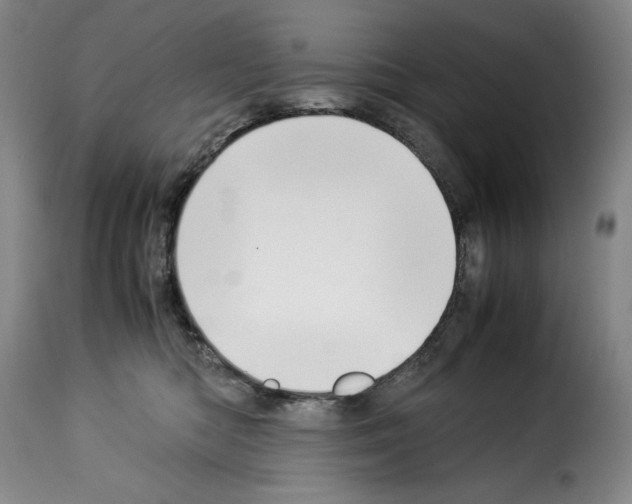 X0000114190422200911200941