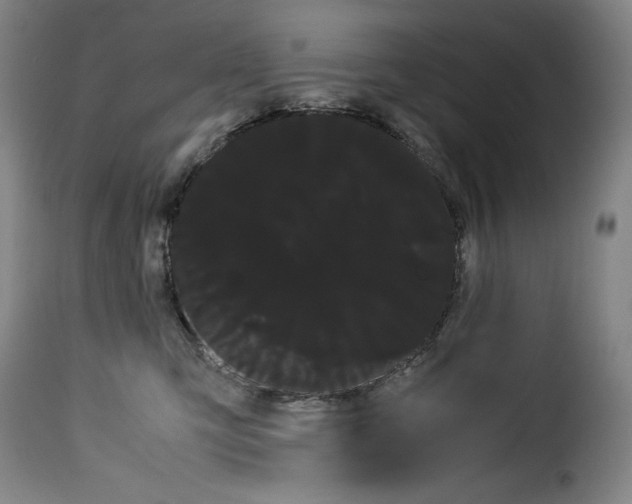 X0000114190423200911200941