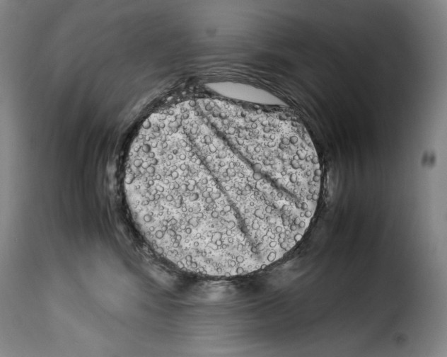 X0000114190424200911200941