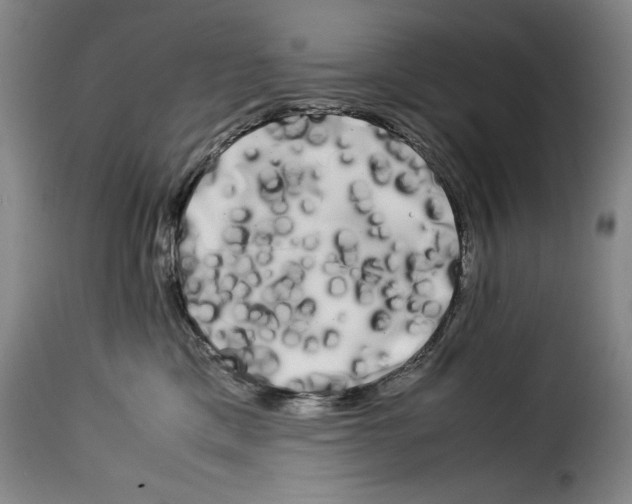 X0000114190425200911200941