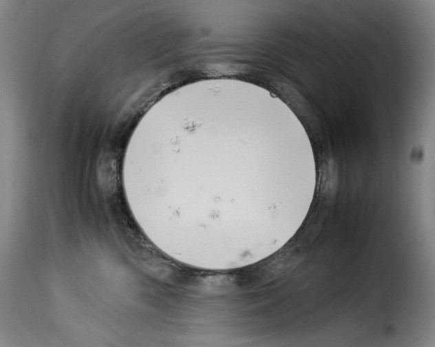 X0000114190426200911200941
