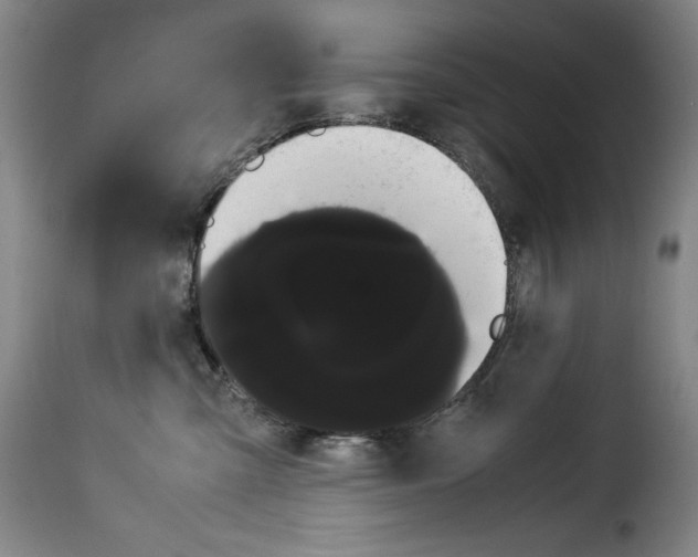 X0000114190427200911200941