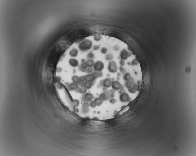 X0000114190429200911200941
