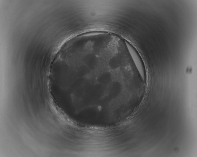 X0000114190434200911200940
