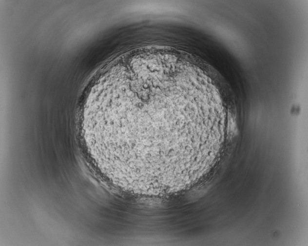 X0000114190435200911200940