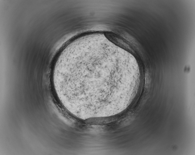 X0000114190436200911200940