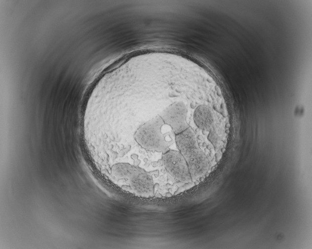 X0000114190437200911200940