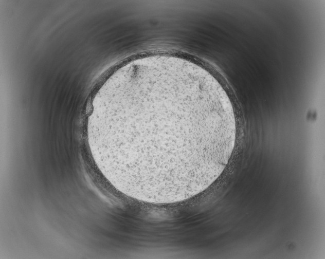 X0000114190439200911200940