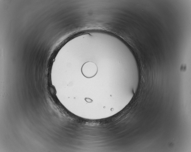 X0000114190440200911200940