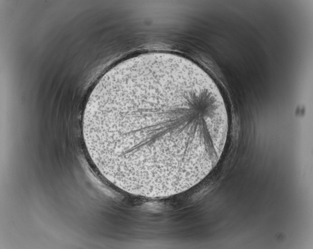 X0000114190441200911200940