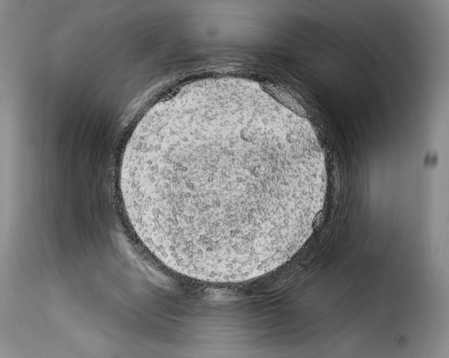 X0000114190442200911200940