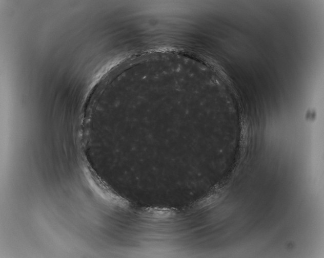 X0000114190443200911200940
