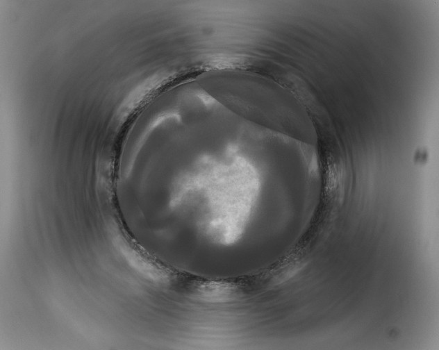 X0000114190444200911200940