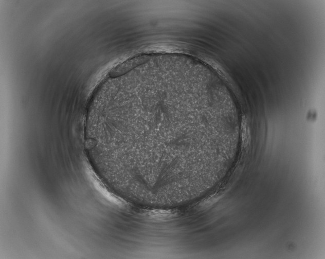 X0000114190445200911200940