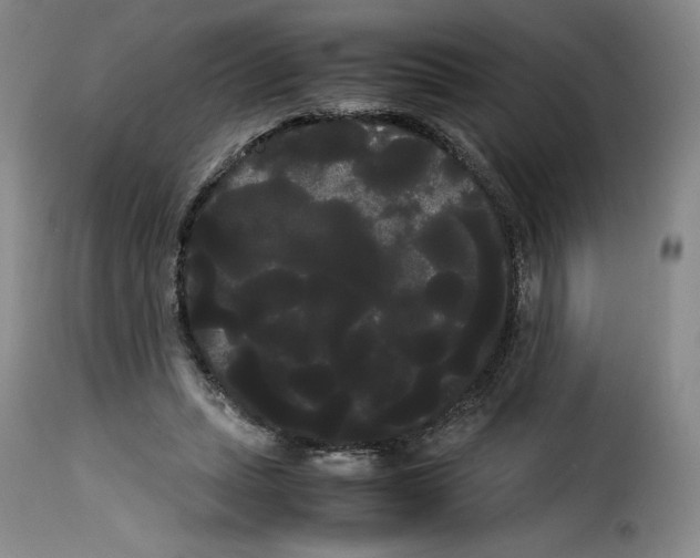 X0000114190447200911200940