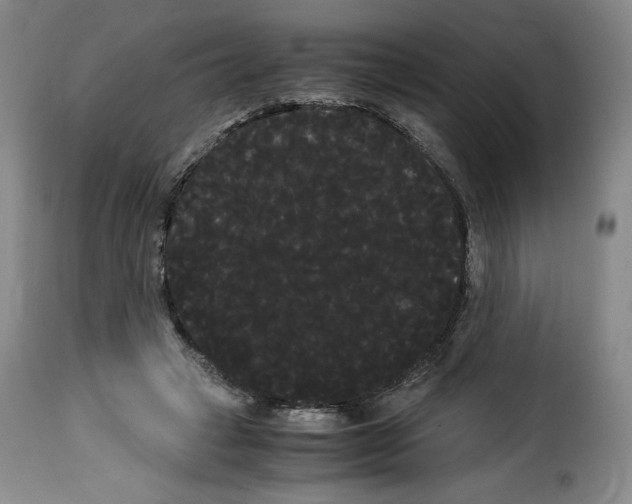X0000114190449200911200940