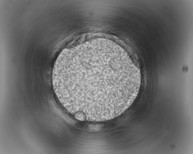 X0000114190450200911200940