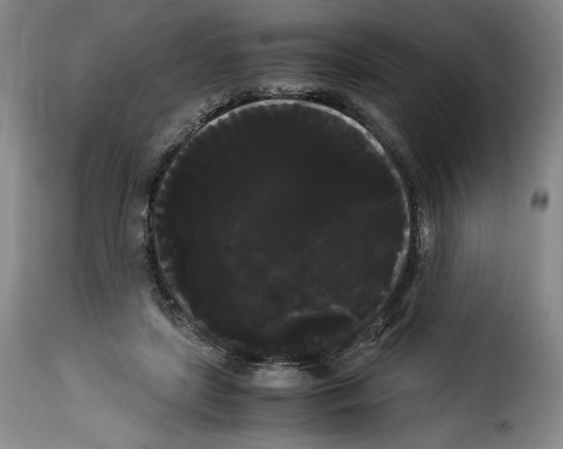 X0000114190451200911200940