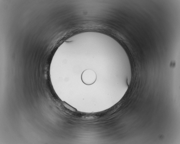 X0000114190452200911200940