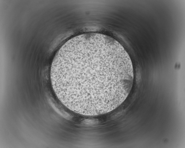 X0000114190455200911200940