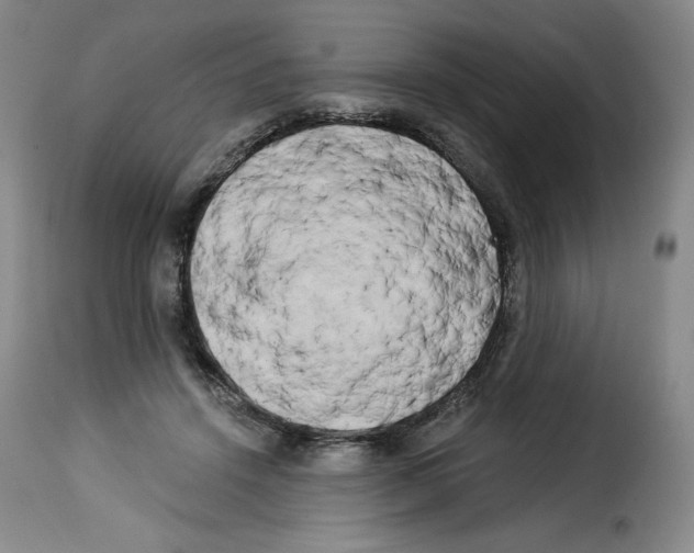 X0000114190456200911200940